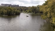 What you need to know about the Mayo Island Park transformation