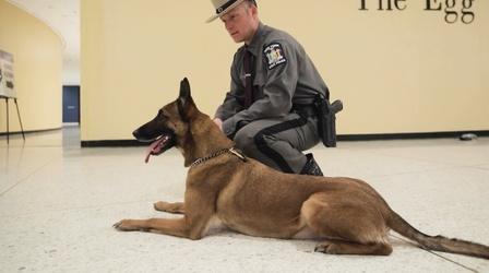 Video thumbnail: Camp TV New York State Police Canine Unit