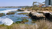 Episode 2: Sharks, Sea Lions and Sightseers
