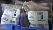 Your Health Checkup: Blood Shortage