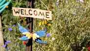 Studio Twelve Special: Grow, Learn & Connect with Denver Urban Gardens