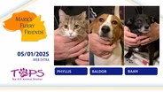 05/01/2025 | Phyllis, Baldor and Baan | Mark's Furry Friends