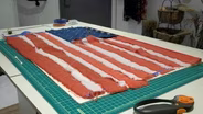 Shark Superhighway, How to Make a True American Flag, Bend Pet Parade