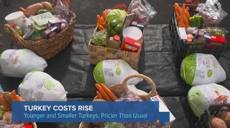 Video thumbnail: Chicago Tonight Ahead of Thanksgiving, Cost of Turkeys Rise