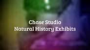 Chase Studio