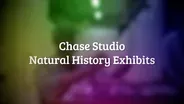 Chase Studio