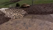 Potential Tree Problems & Landscape Trends