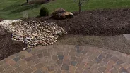 Potential Tree Problems & Landscape Trends