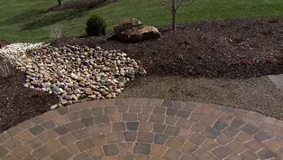 Potential Tree Problems & Landscape Trends