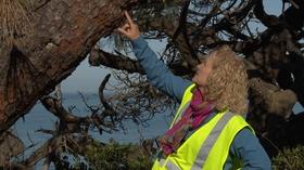 Video thumbnail: A Growing Passion Plants: The Endangered Species