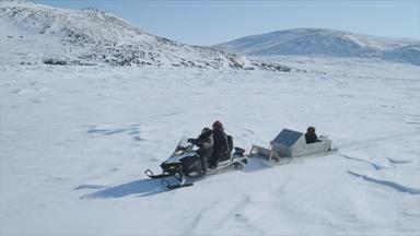 Collecting Mussels Under the Canadian Arctic Sea Ice