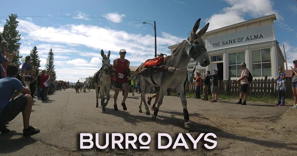 Arts District Fairplay, Colorado hosts its 69th Annual Burro Days