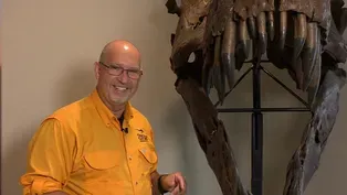 T-Rex