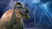 How Extreme Weather Is Revealing — And Destroying — Dinosaur Fossils