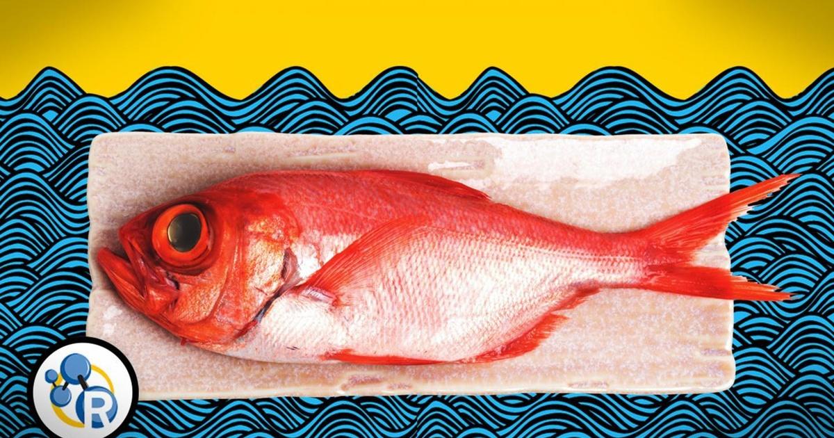 Easy Tips to Make Fish Taste Less Fishy 2023 AtOnce