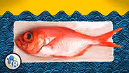 How To Make Fish Less Fishy (Chemistry Life Hacks)