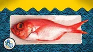 How To Make Fish Less Fishy (Chemistry Life Hacks)