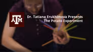 The Potato Experiment