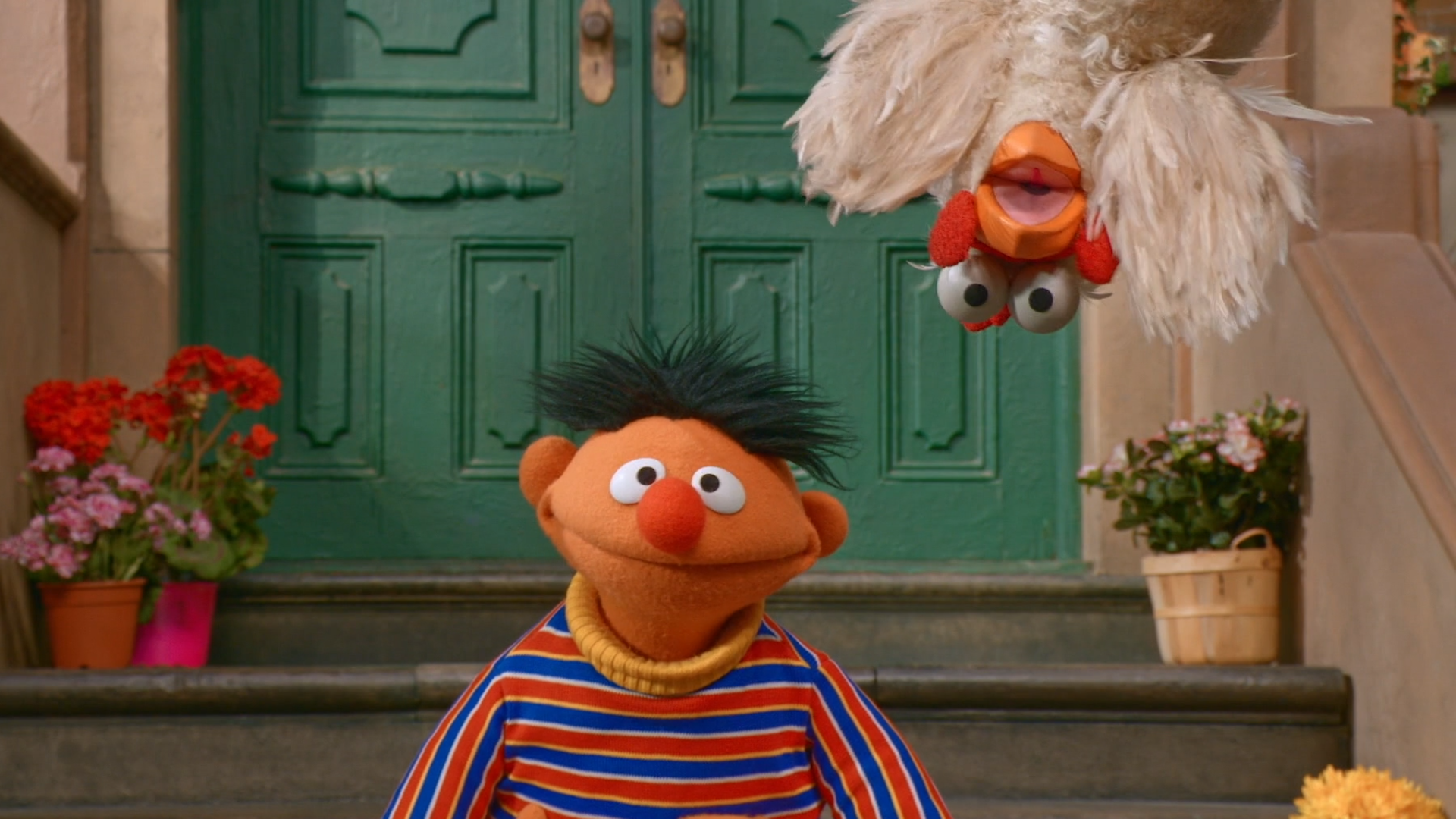 Bert and Ernie’s Opposite Day