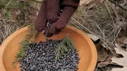 Fast Forage in the Kitchen: A Prairie Sportsman Special