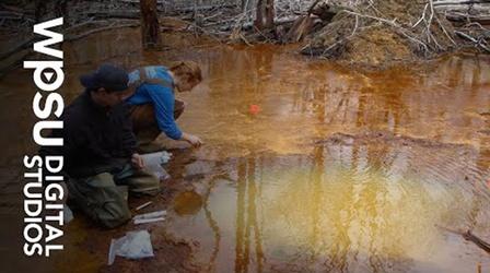 Video thumbnail: WPSU Shorts Microbes Clean Abandoned Mine Pollution