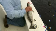 Captains Challenge