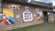 The American Museum of the House Cat