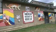 The American Museum of the House Cat