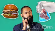 Is Lab-Grown Meat The Answer To Our Meat Eating Problems?