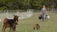 EB Ranch and San Clemente Island Goats