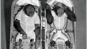 Video thumbnail: WKAR Family Early Astronauts | Journey to the Moon