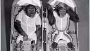 Early Astronauts | Journey to the Moon