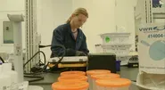 This is where your flu vaccine is made
