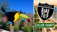 Collier County