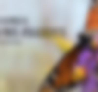 Preserving Illinois Prairies