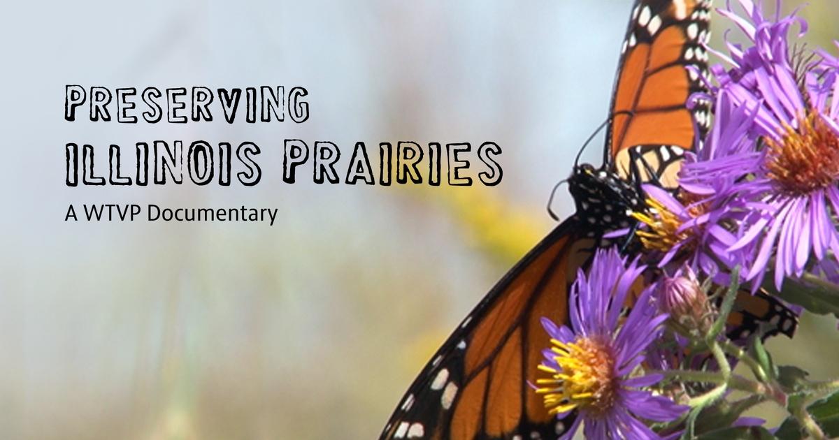 Preserving Illinois Prairies | Episode 1