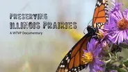 Preserving Illinois Prairies