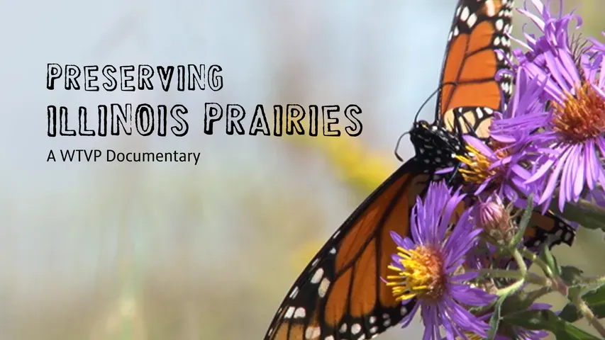 Preserving Illinois Prairies