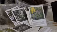 Seed Starting and Soil Sampling