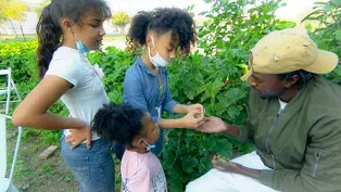 Black Lives Veggies: Growing a Movement