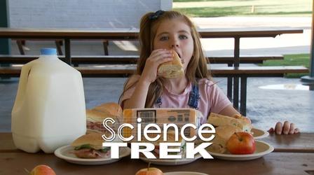 Video thumbnail: Science Trek Digestive System: Go Inside The Digestive System
