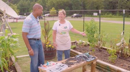 Video thumbnail: The Family Plot Drip Irrigation & Squash Vine Borers
