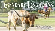 Legendary Longhorns