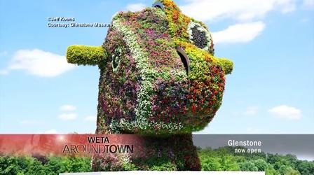 Video thumbnail: WETA Around Town Glenstone