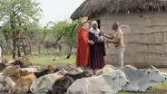 Tanzania: Majestic Wildlife and Cultural Gems