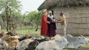Tanzania: Majestic Wildlife and Cultural Gems