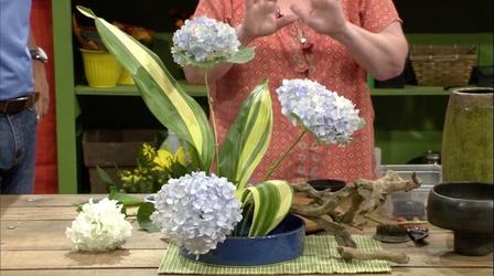 Video thumbnail: The Family Plot Ikebana and Herbicides