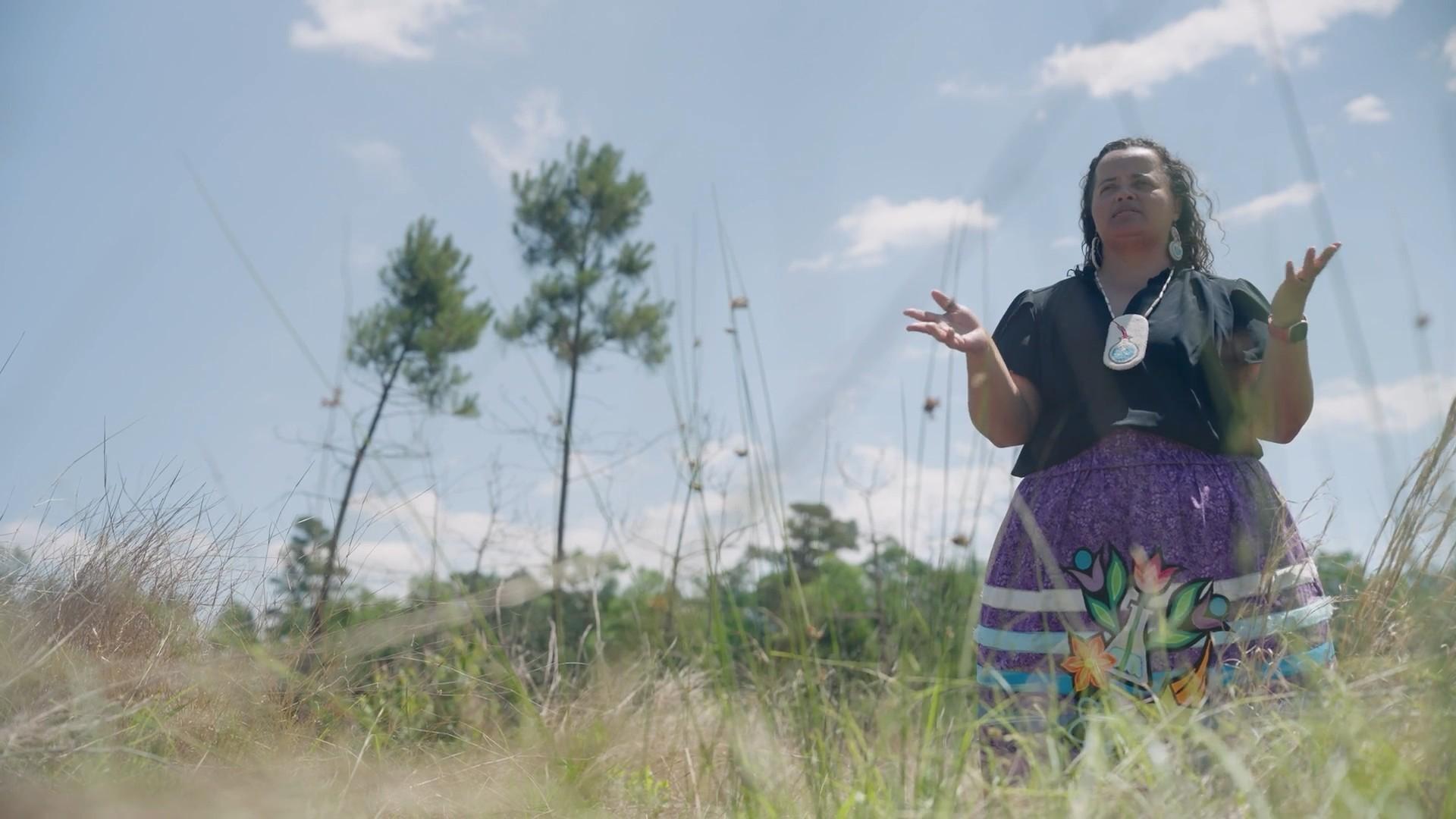 How nature shaped the birth of our nation and fueled a bitter war for independence.