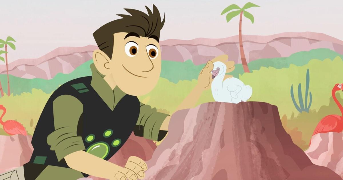 Wild Kratts | Pinkster | Season 6 | Episode 2 | PBS Wild Kratts | Pinkster | Season 6 | Episode 2 | PBS