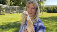 Poultry Pals